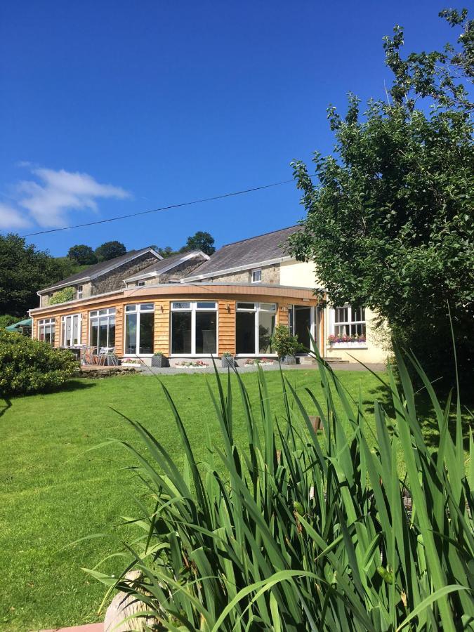 Llanerchindda Farm Guest House Cynghordy Exterior photo